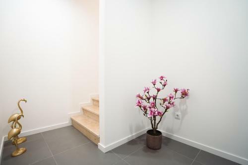 Villa Power Of Love