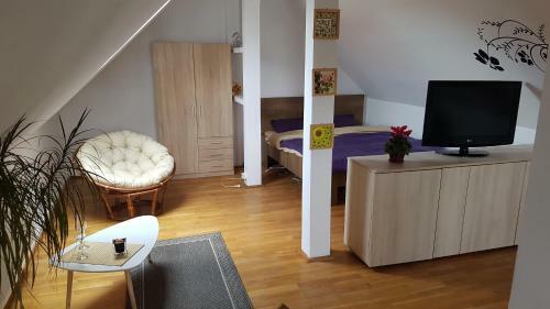Hostal My Place - Butterflies