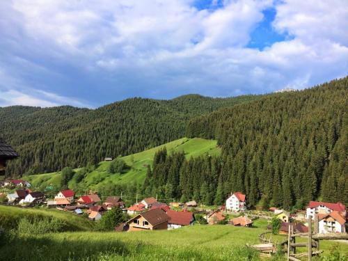 Bed & Breakfast Pensiunea La Turcu