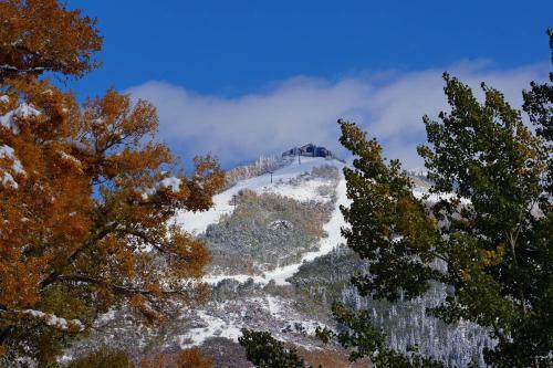 Bear Creek Lodge Townhome