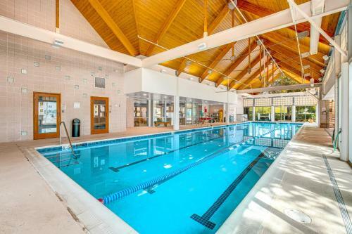 Bear Trap- 20 Village Green Dr