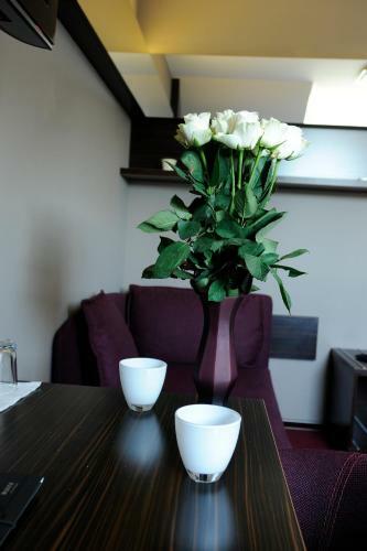 Hostal Wellness Penzion Krom??�? - Zlobice