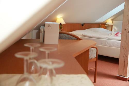 Hostal Wellness Penzion Krom??�? - Zlobice