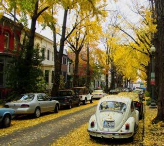 Apartamento Big Bright 1 Br At U/shaw + 14th On Quaint Swann