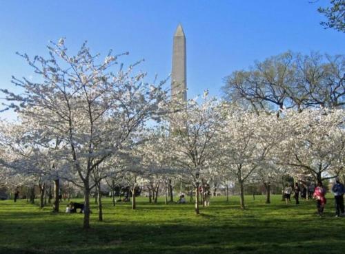 Apartamento Modern 1-bd Unit With Gorgeous View Of Dc Skyline