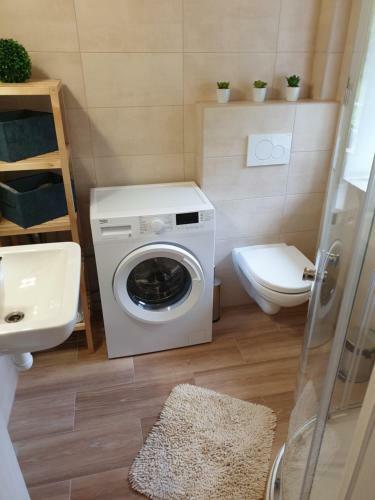 Apartm�ny Rosenberg - Lipno