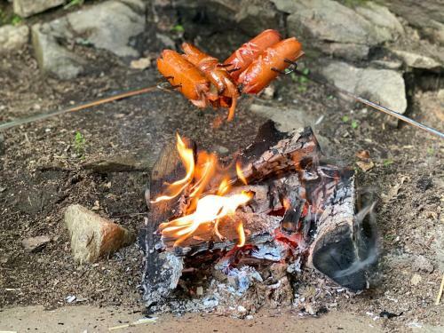 Apartm�ny Rosenberg - Lipno