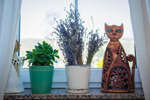Apartm�n U Mluv�c�ch Kamen?