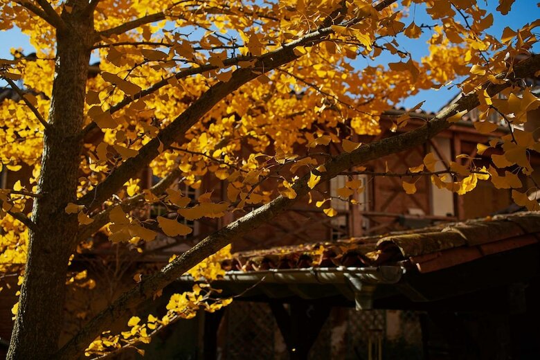 Bed & Breakfast La Halte Du Temps