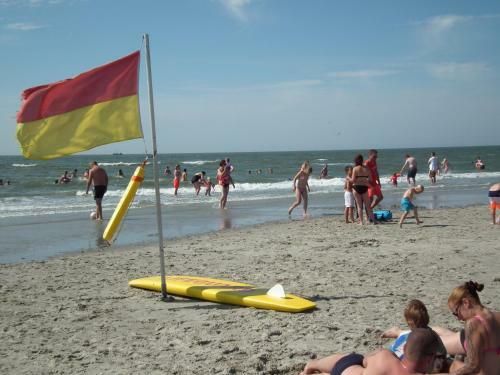 Apartamento Appartement Kaap 44