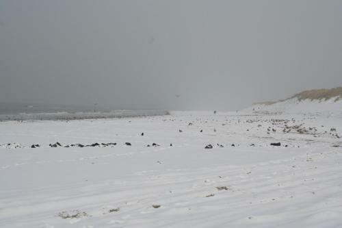 Apartamento Appartement Tjerk