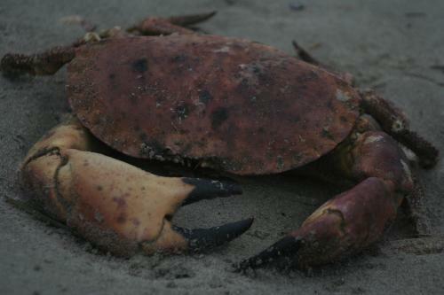 Apartamento Appartement Tjerk