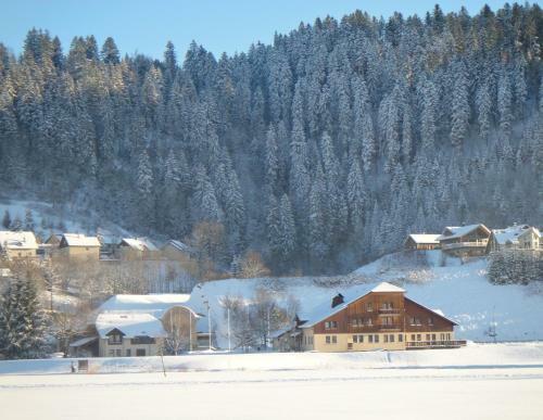 Hotel Espace Morteau
