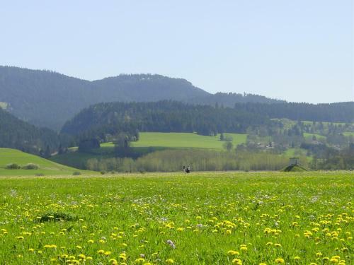 Hotel Espace Morteau