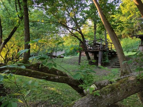 Kolibe - Robinson Camp Kupa