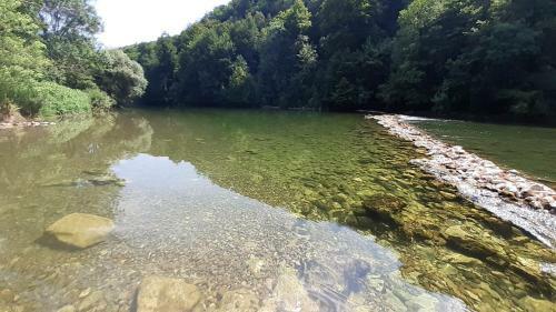 River House "green Butterfly"