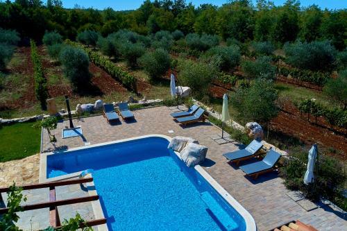 Villa Relax House Surrounded By Olives And Vineyard