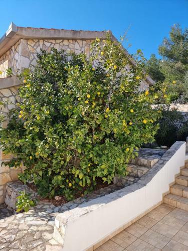 Apartamento Corinna Zavala Resort