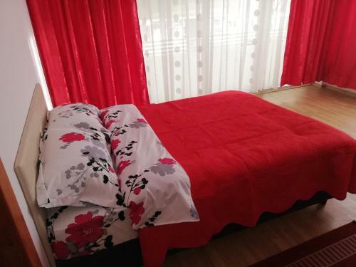 Hostal Pensiunea La Safari