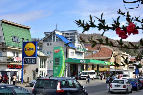 Hostal Pensiunea La Safari