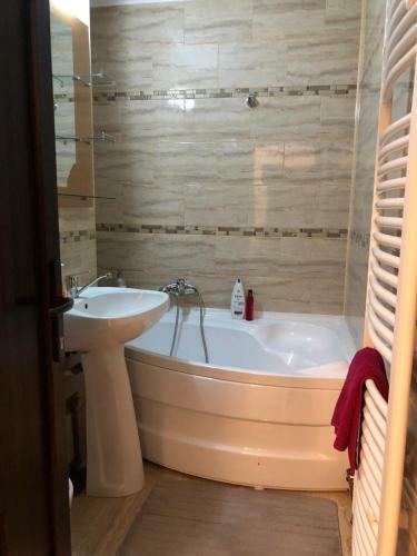 Apartament Modern T�rgovi?te �n Regim Hotelier