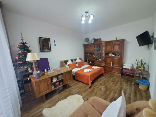 Hostal Pensiunea Mihaita