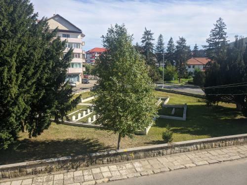 Hostal Pensiunea Mihaita