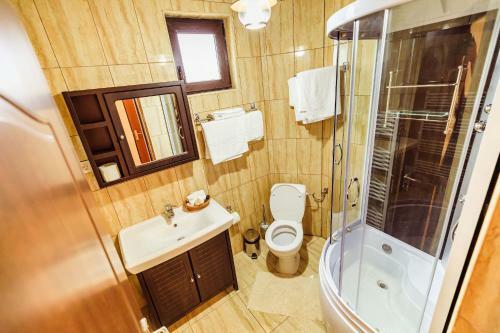 Hotel Pensiunea Iris