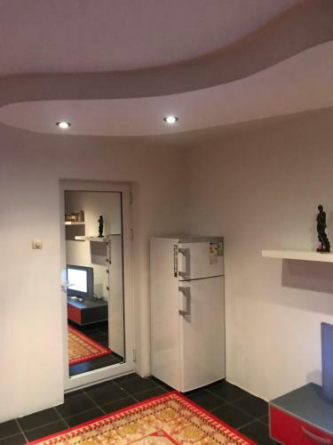 Apartamento Nice & Chic Studio In Turnu Magurele!