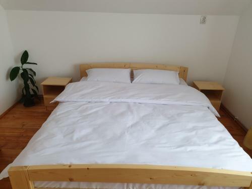 Hostal Casa Moglador