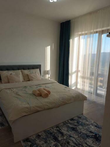Hostal Pensiunea Agroturistica Acvila Apusenilor