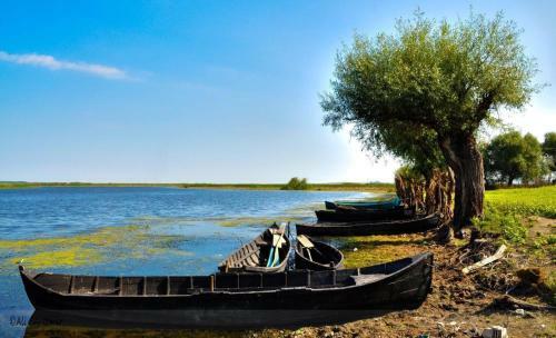 Hostal Pensiunea Laguna Balteni