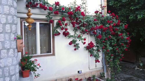 Albergue Helga House