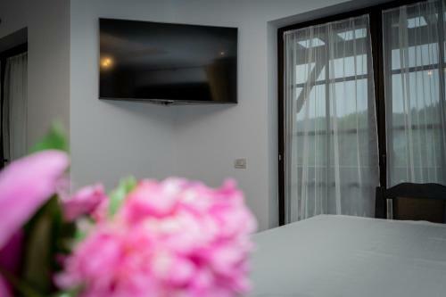 Hostal Pensiunea Alexa