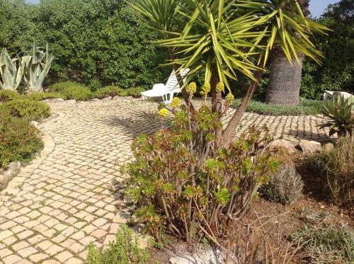 Bed & Breakfast Casa Oliviera