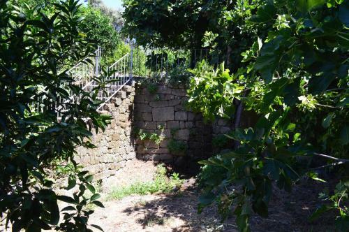 Bed & Breakfast Monsanto - Quinta de S�o Pedro de Vir-a-cor�a