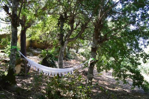 Bed & Breakfast Monsanto - Quinta de S�o Pedro de Vir-a-cor�a