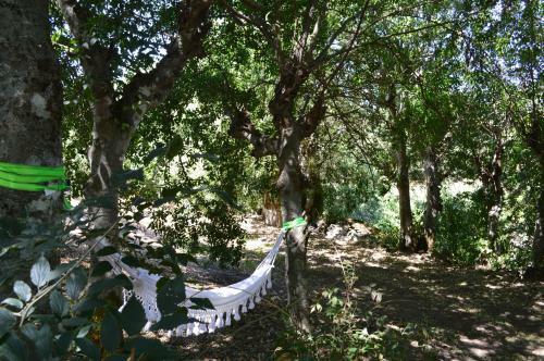 Bed & Breakfast Monsanto - Quinta de S�o Pedro de Vir-a-cor�a