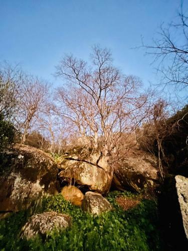 Bed & Breakfast Monsanto - Quinta de S�o Pedro de Vir-a-cor�a