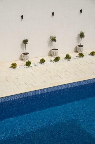 Hostal Ilios Vama Veche Adult Only