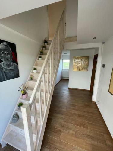 Villa Casa Eco Vama Veche