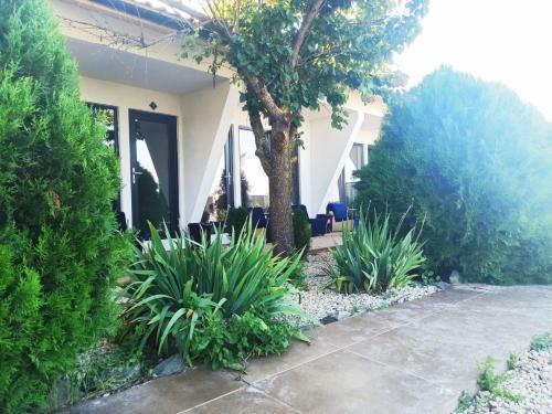 Hostal Vila Medusa