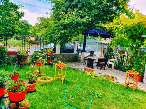 Hostal Casa Razvan Vama Veche