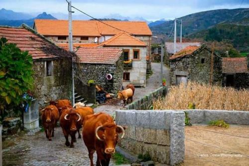 Agroturismo Casa Albelo Do Ger�s