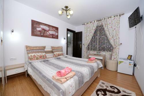 Hostal Casa Teo&andreea