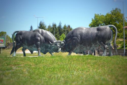 Apartamento Casa Machado