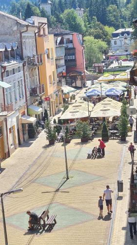 Apartament In Inima Dornei