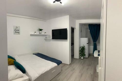 Cozy Studio Apartament Zalau