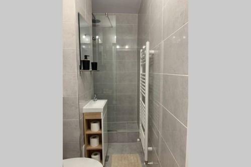Cozy Studio Apartament Zalau