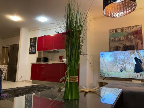 Apartment Happiness By Nicole Jutka, Visual Artist.